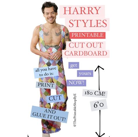 Grammys Harry Styles Printable Life Size Cut Out Cardboard Etsy Australia