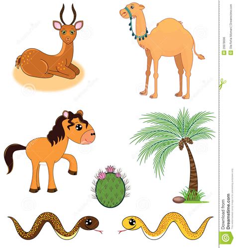 Set Of Desert Animals Royalty Free Stock Image Image