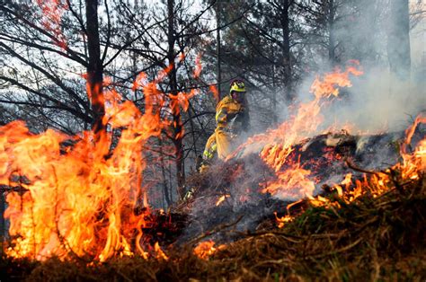 Incendios Forestales Aumentan Respecto A Temporada Anterior
