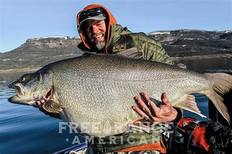 Potential World Record Lake Trout Caught In Colorado First Look