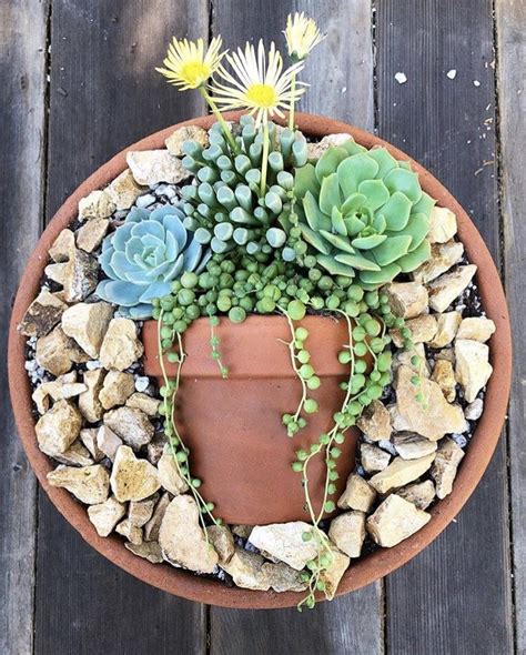 Another Cute Idea For Broken Pots Rsucculents