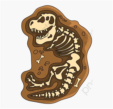 Cartoon T Rex Skeleton Cartoon T Rex Stock Images Royalty Free