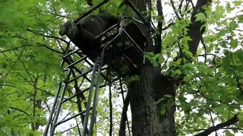 Tips On How To Hang A Deer Hunting Ladder Stand Safely The Best And