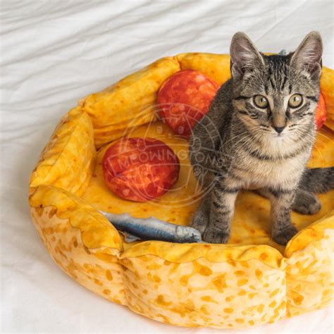 These Cat Beds Are The Best Things Since Sliced Bread Meowingtons