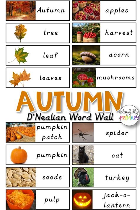 Fall Vocabulary Cards Fall Word Wall Writing Center Cards With Real