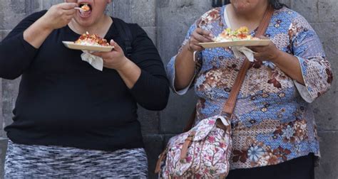 Analizan Preferencias Alimenticias Registradas En El Cerebro Para Disminuir La Obesidad