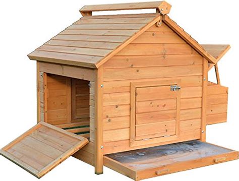Poulailler Quelle Surface Chicken Coops