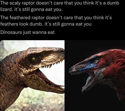 Jurassic Park Feathered Raptors Jurassic Park Know Yo Vrogue Co