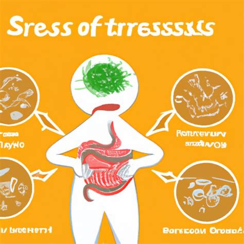 Stress And Digestion Understanding The Link And How To Keep Your Gut