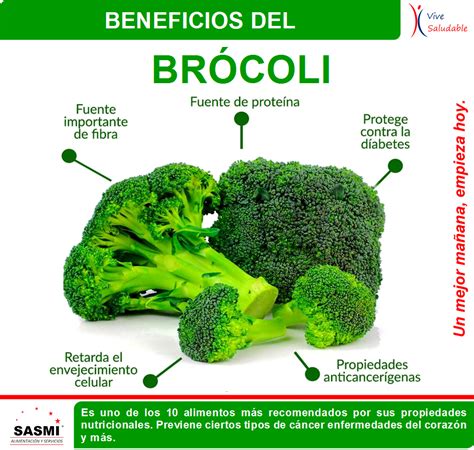 Beneficios Del Brócoli Artofit