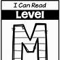 Level M Reading Worksheet