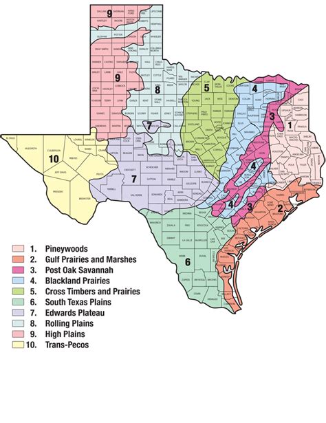 Texas Regions Map Color 2018