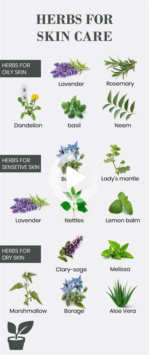 Herbs Good For Skin Natural Herbs Skincare You Should Try Skin Care
