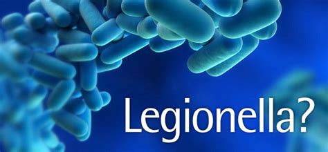 It's caused by the bacterium legionella pneumophila found in both potable and nonpotable water more hospitals are facing the dilemma of legionella outbreaks as they discover the drinking water is. Legionella spp. Analizleri - Özel Antalya Gıda ve Su ...