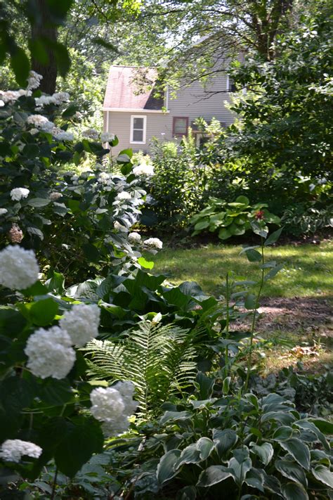 Shade Garden Shade Garden Shade Garden Plants Garden Inspiration