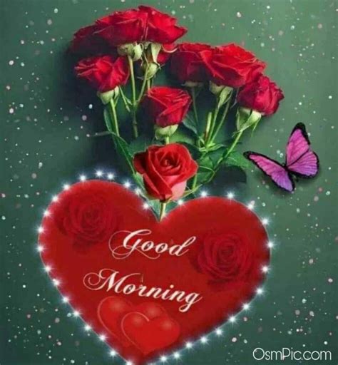 55 Good Morning Rose Flowers Images Pictures With Romantic Red Roses