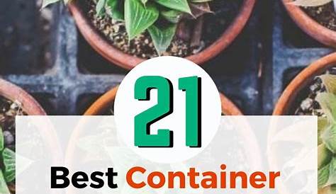 container size for vegetable gardening