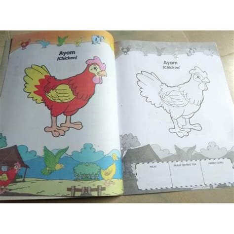 Ayam adalah binatang unggas yang banyak dipelihara oleh manusia baik dalam skala ternak rumahan maupun ternak besar. Gambar Mewarnai Hewan Ayam - Gambar Mewarnai Terbaik