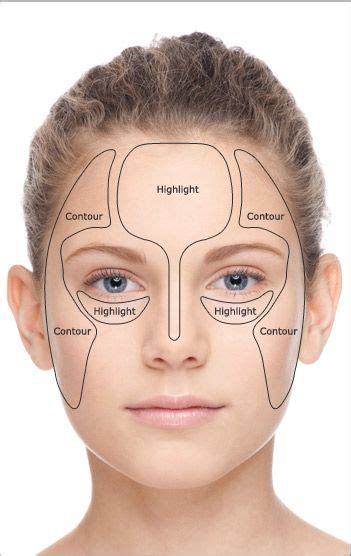 Facial Anatomy Skin