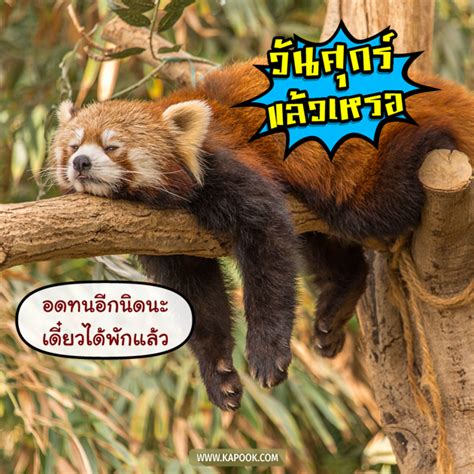 เช็กดวงรายปี 2564 ทุกเรื่อง ดวงการเงิน ดวงการงาน ดวงความรัก ดวงสุขภาพ โชคลาภ พร้อมวิธีแก้ชง จากหมอดูชื่อดังหลาย. ดูดวงรายวัน เช็กดวงวันนี้ วันที่ 23 เมษายน 2564