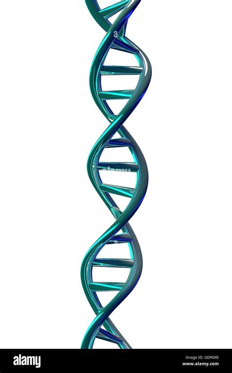 3d Rendering Of Dna Helix Isolated On White Background Stock Photo Alamy