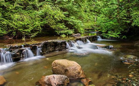 Hd Wallpaper Rapids River Waterfalls Water Falls Forest Rocks