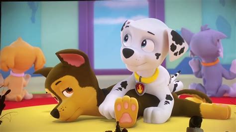 paw patrol marshall mishaps s2 e1 pups save the penguins 🐶 youtube