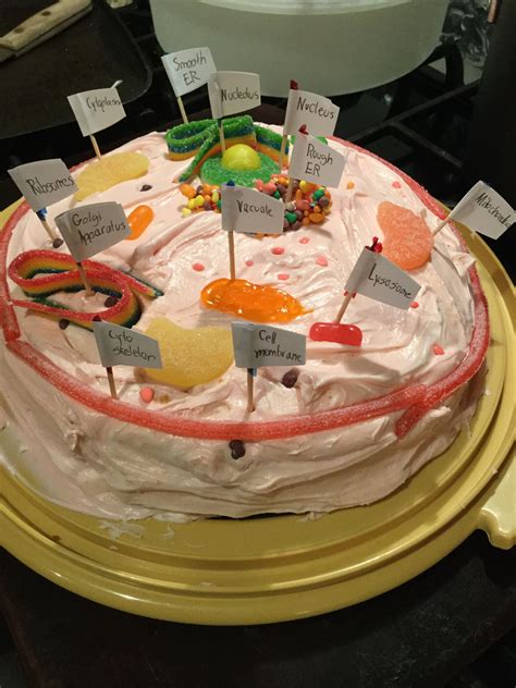Check spelling or type a new query. Animal cell cake/ 12 organelles | Cake, Cells project ...