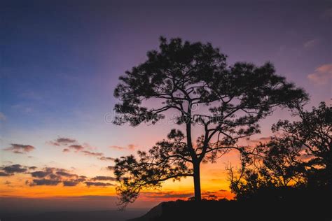 Sunset At Loei Province Phu Kradueng National Park Thailand Landscape