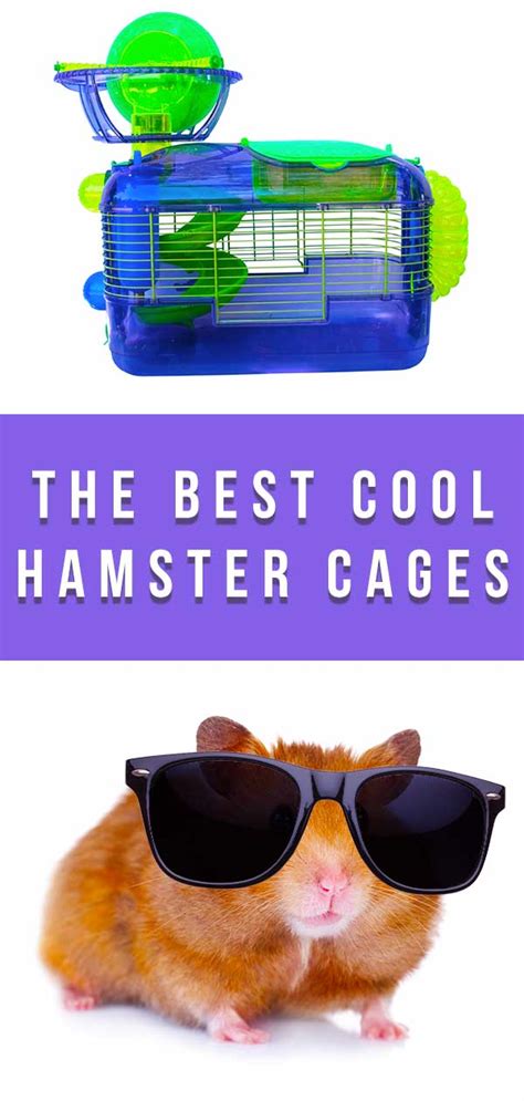 Best Cool Hamster Cages Cool Cage Ideas For Your Awesome Little Pet