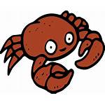 Crab Cartoon Drawing Crabs Drawn Clipart Transparent
