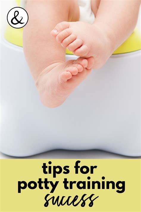Tips For Potty Training Success • All Natural And Good • Baby