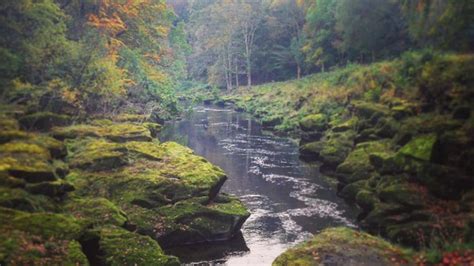 The Bolton Strid Englands Beautiful But Deadly River