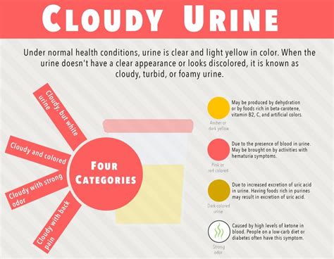 We also discuss when to visit a doctor, diagnosis, treatment options, and what blood in the urine can mean for children. Cloudy Urine: Symptoms, Causes, Treatment, and Images