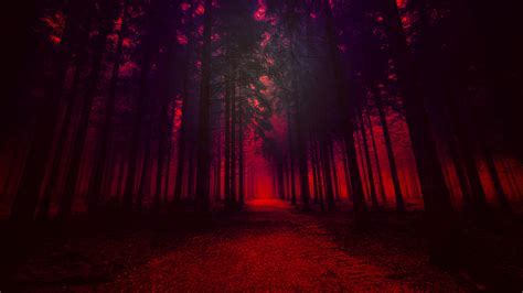 1920x1080 Artistic Red Forest Laptop Full Hd 1080p Hd 4k Wallpapers
