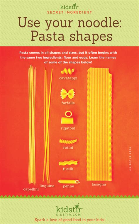 Pasta Noodle Shapes Infographic For Kids