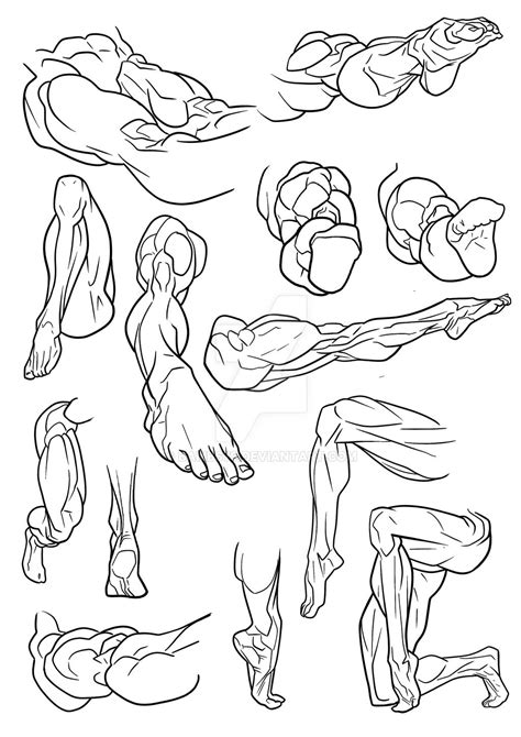 Muscular Legs By Bambs79 On Deviantart
