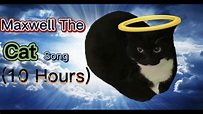 Maxwell the cat song (10 Hours) - YouTube