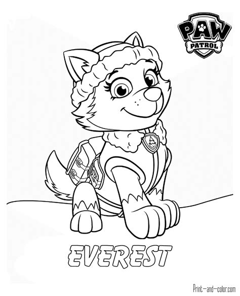 Skye And Everest Paw Patrol Coloring Page Depp My Fav
