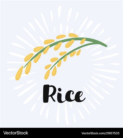Rice Logo And Sign Royalty Free Vector Image Vectorstock