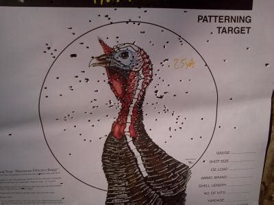 Choke Patterning Turkey Hunting Turkey Hunting In Depth Outdoors