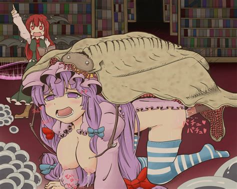 Koakuma And Patchouli Knowledge Touhou Drawn By Oibosi