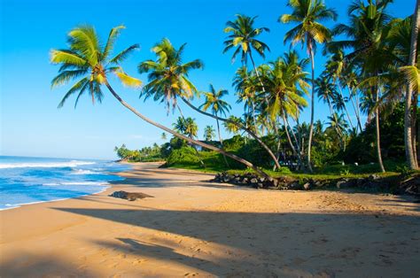 The Most Beautiful Places In Sri Lanka