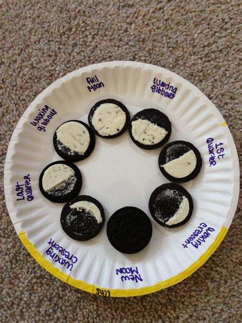 Moon Phases 1st Grade