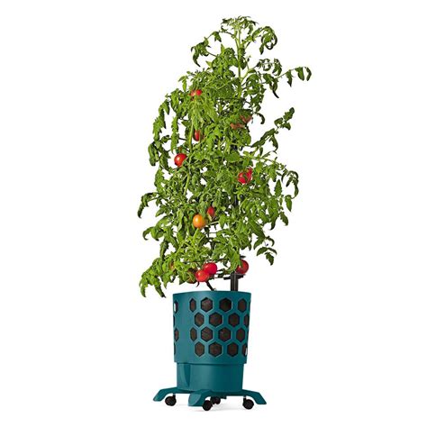 Gardeners Revolution Self Watering Tomato Planter With Support Rings