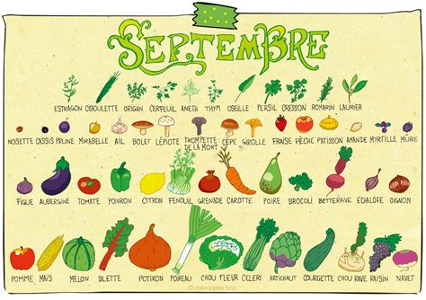 Pissenlit Septembre Calendrier Des Fruits Et Légumes
