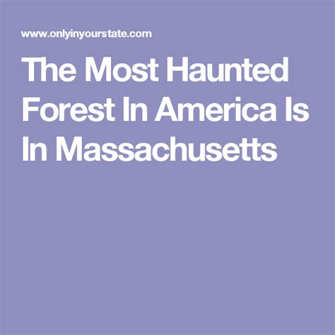 The Most Haunted Forest In America Is In Massachusetts Haunted Forest