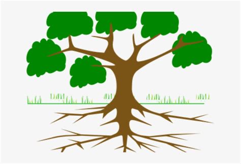 Roots Clipart Animated Tree Tree With Roots Cartoon Transparent PNG