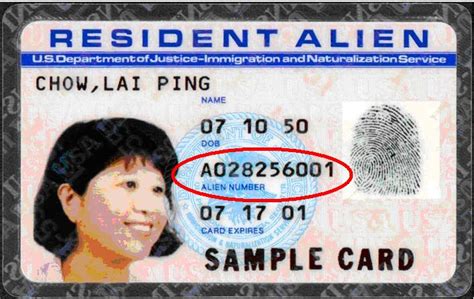 Preceding 1997, the immigration and naturalization service division of the u.s. You should probably know this about Resident Alien Card ...