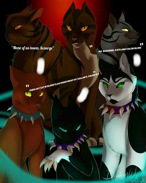 As Meme Warrior Cats Scourge Warrior Cats Anime